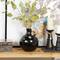 11" Black Ceramic Jug Inspired Vase with Rattan Wrapped Handle
